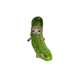 PickledPlatoon