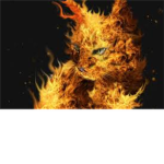 BlazeClan(warriors rp)