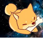 .doge's clothing shop