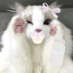 strwbuny