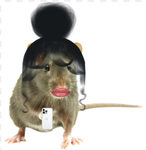 Big baddie rat group