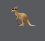 Kangaroo game’s