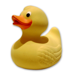 The epik ducks