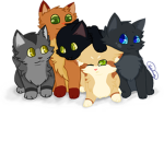 CATZ SQUAD!