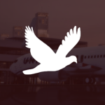 FlyBritainn