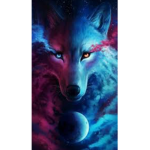 X Fox’s