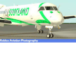 FlyGrape airlines