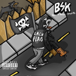 [BSK]Back Street Killas
