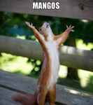 Mangos10