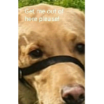 Future_Lxvez
