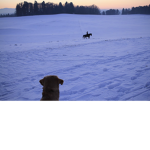 Snowflake riding academy