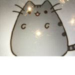 pUSHEEN cATS