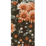 x Vintage Apperal x
