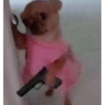 i'm cooler than u