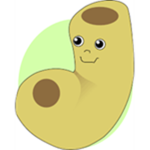 Official Team Noodle