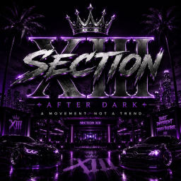 SECTION XIII : AFTER DARK™