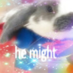 ⭑･ﾟﾟ･*:༅