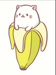 Sparking cats