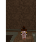 Hog rider cult