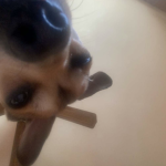 Qůəəñ Ķíńğ