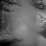 Those In The Mist