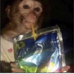 monke caprisun