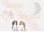 Rose petals official group