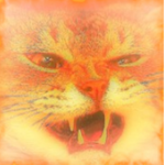 Cat Gang Inc.