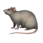 Fuzzy Rat Army