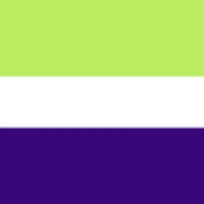 Neopronoun flag