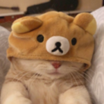 MAOTU