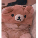 - | ᴀᴠᴀᴛᴀʀ ʀᴀɴᴋɪɴɢ | -