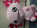 Axolotl lovely