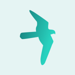 Birb Productions