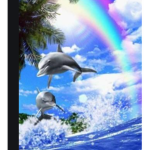 Dolphins r the best