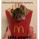 janelles sewer