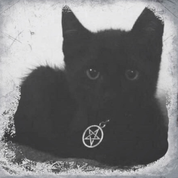 ⛧🐈‍⬛