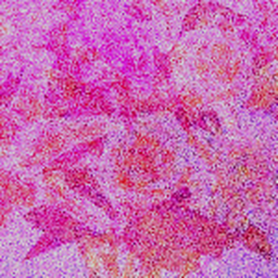 saturation compositions