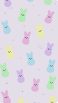 —Averys Boutique—