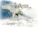 theunicornsquad#thebest