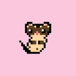 Ferret ._.