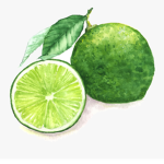 citrus' designs