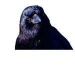 CROWS NESTᅠ