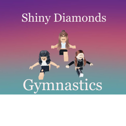 Shiny Diamonds Gymnastics Private Gym