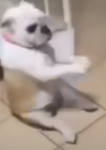 UvU uWu :3
