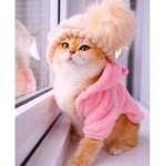 AestheticalKitty