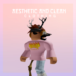 Aesthetic & Clean Clothing Smaller Store