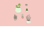 Heyy_ aesthetic