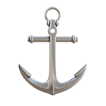 The NPOC Navy