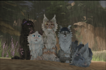 Kayden/Jayden’s group